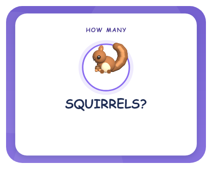 The question card asking how many squirrels